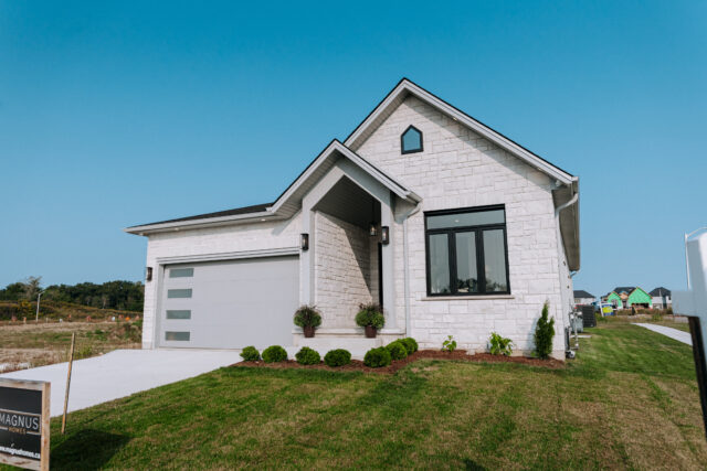 Tridon development-214